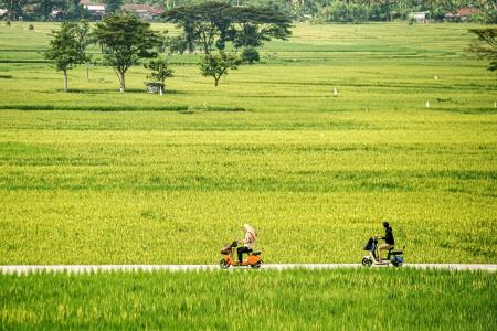 Southeast Asia after the shocks: Economic growth, but not as we know it