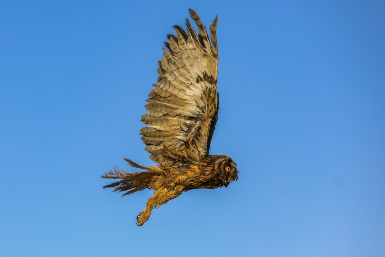 Threats and wisdom (Necmettin Karaca/Anadolu via Getty Images)